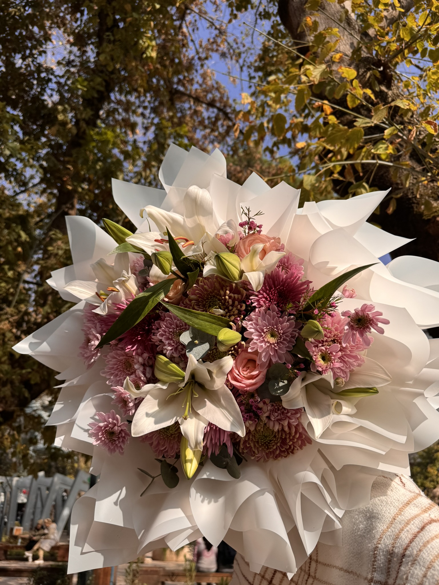 Lilyum-İthal Kombini 2