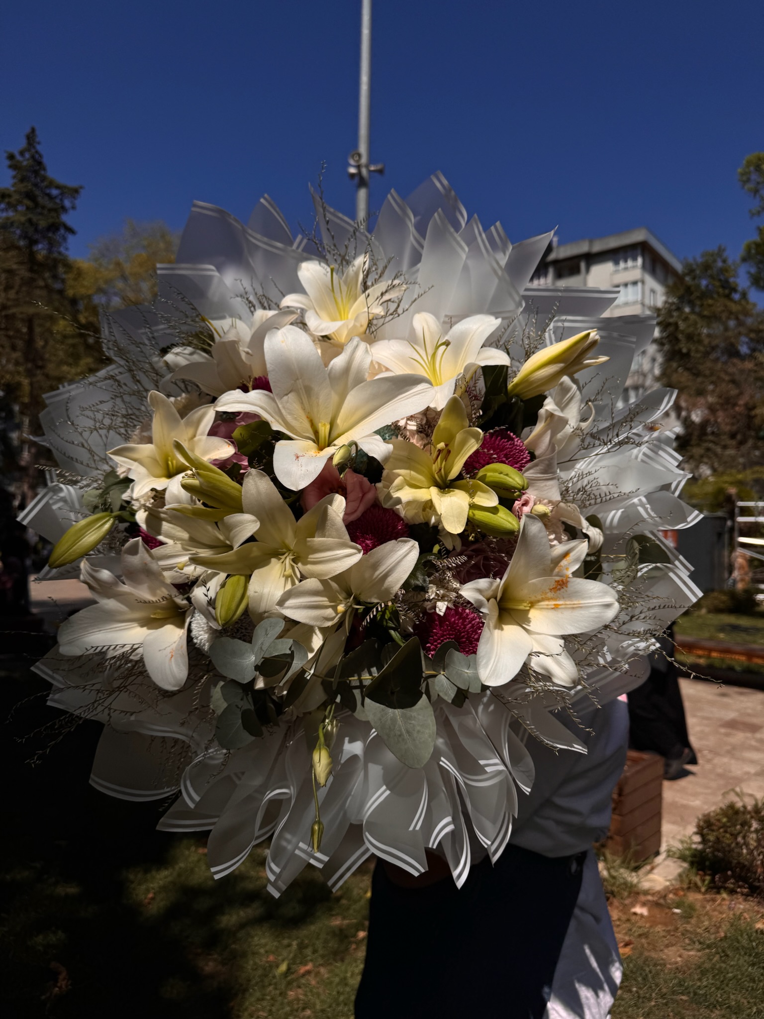 Beyaz Düş- Lilyum , Gül , Krazentem