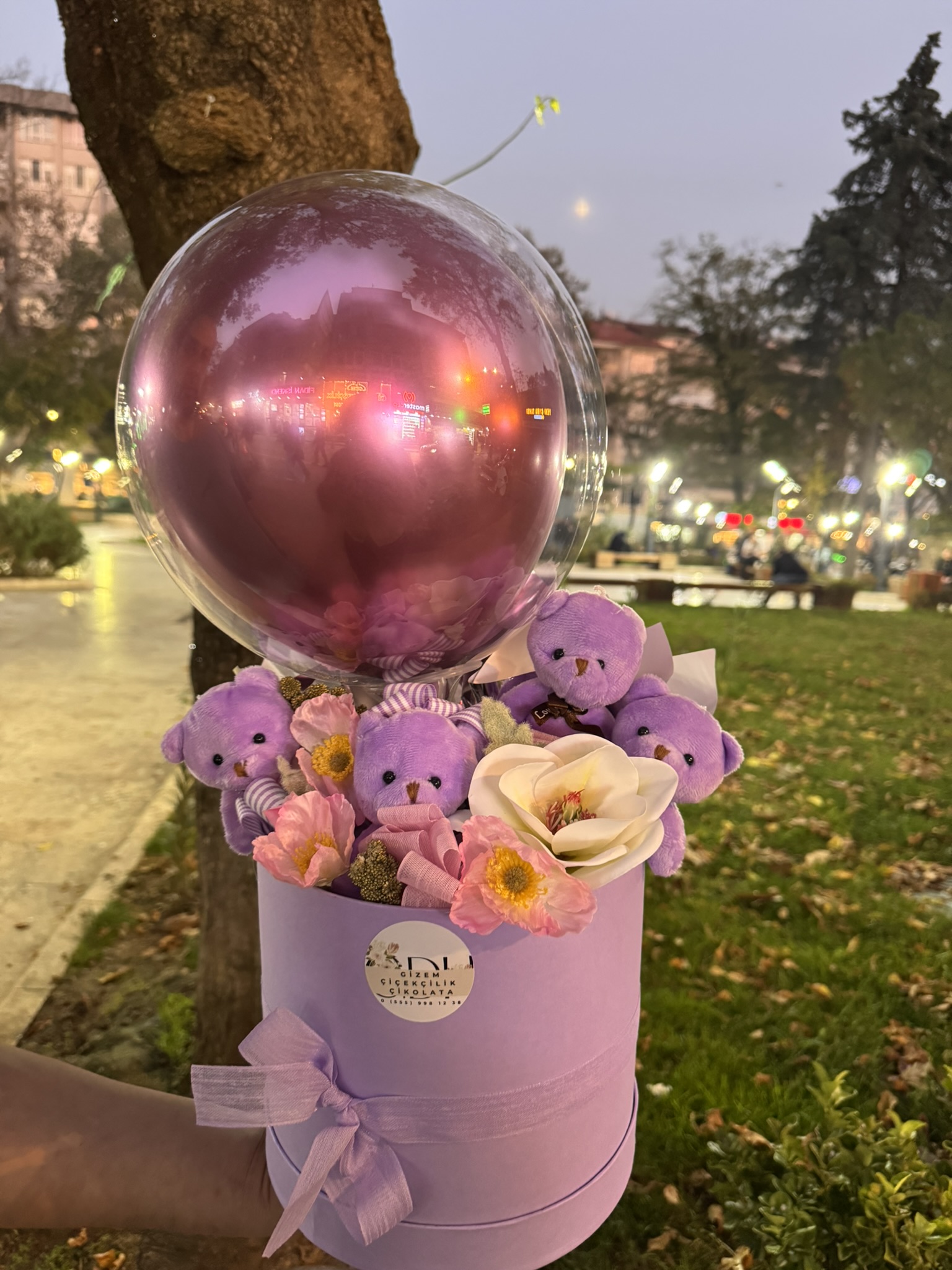 Balon Ayıcık Kutusu II