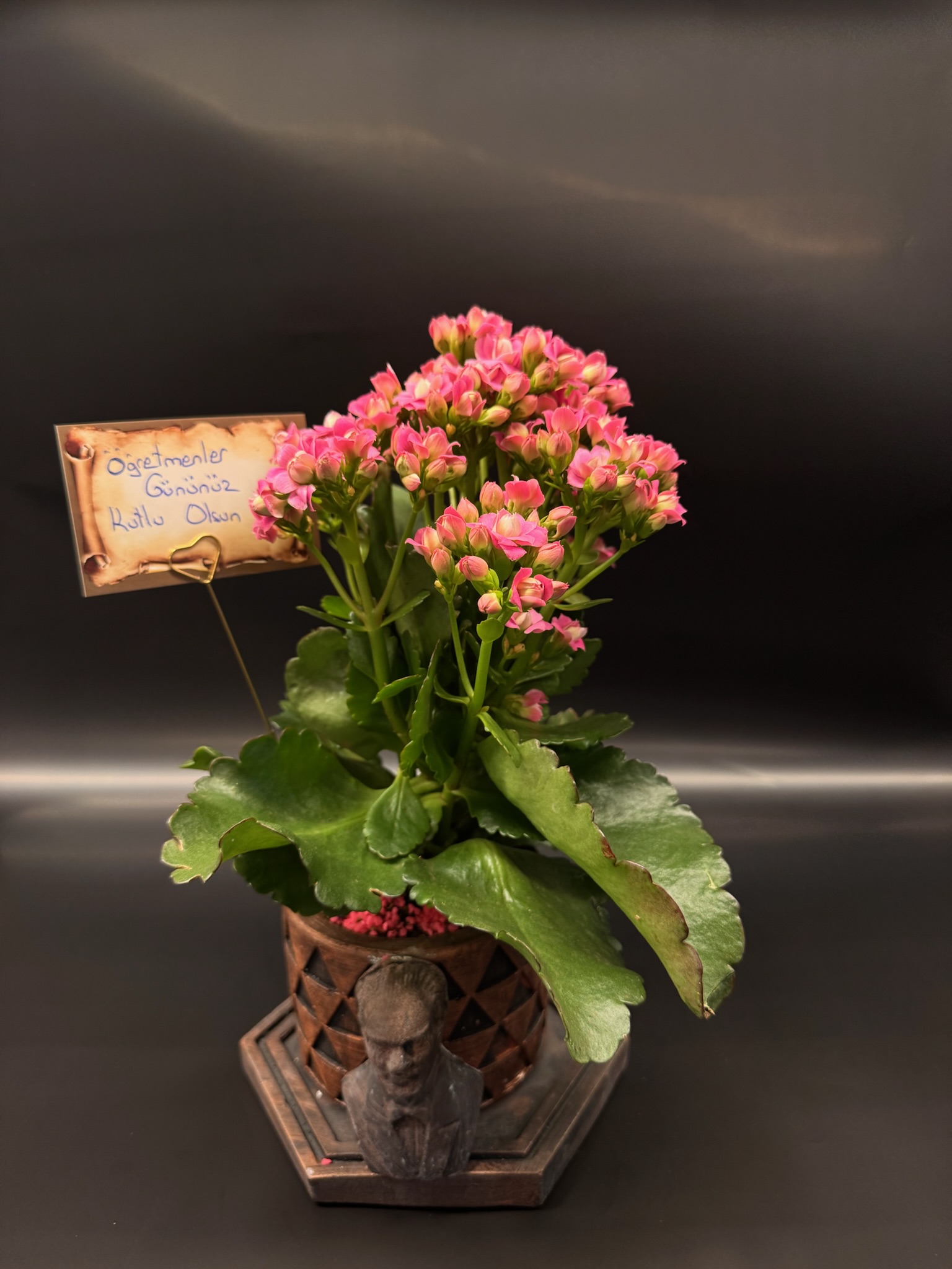 Öğretmenler Günü Kalanchoe