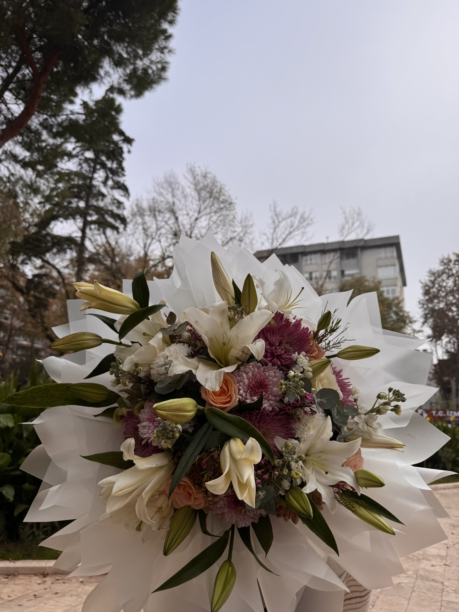 Lilyum-İthal Kombini 1